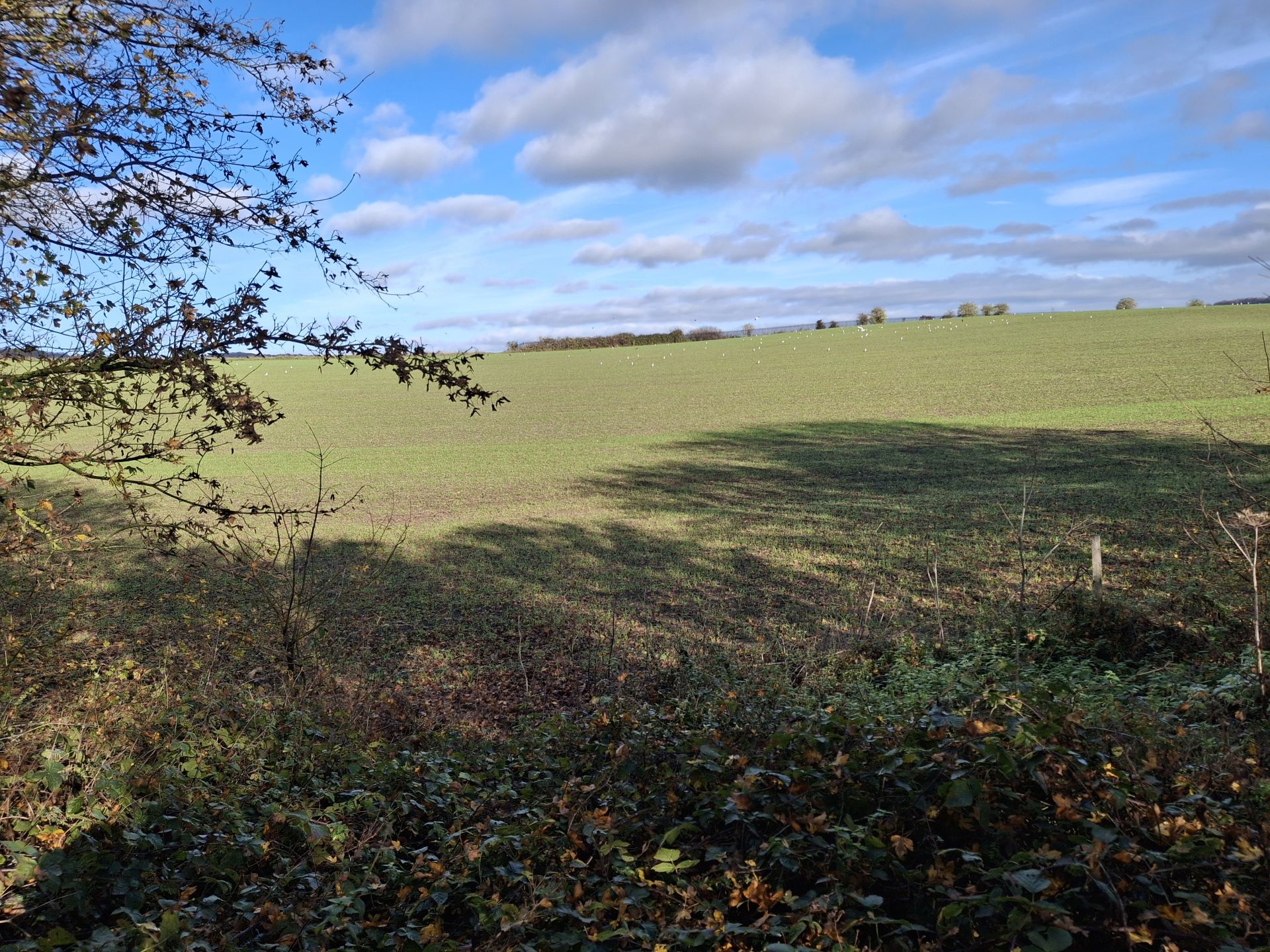 Snofkand countryside 