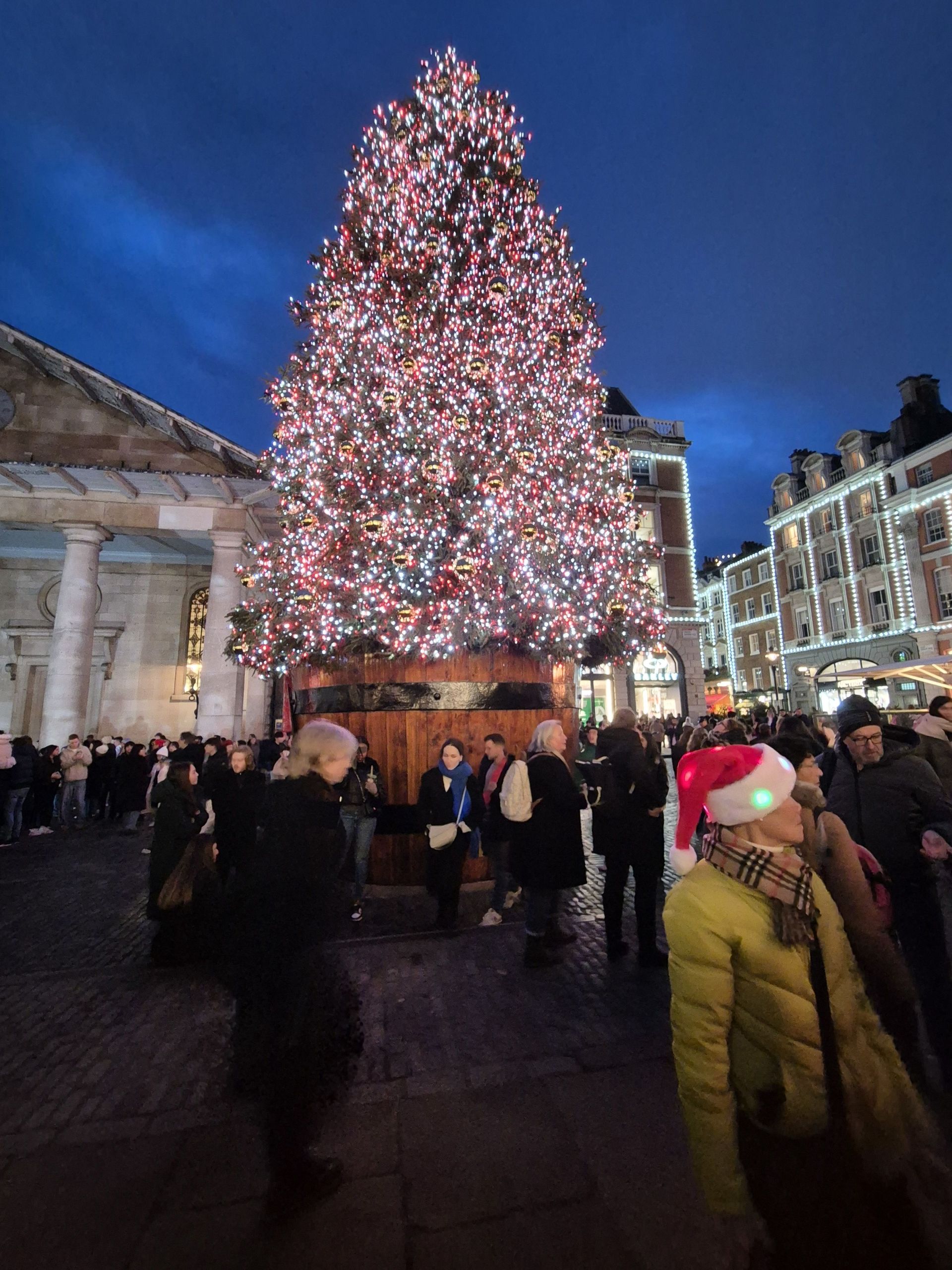 Covent Gardens iconic tree