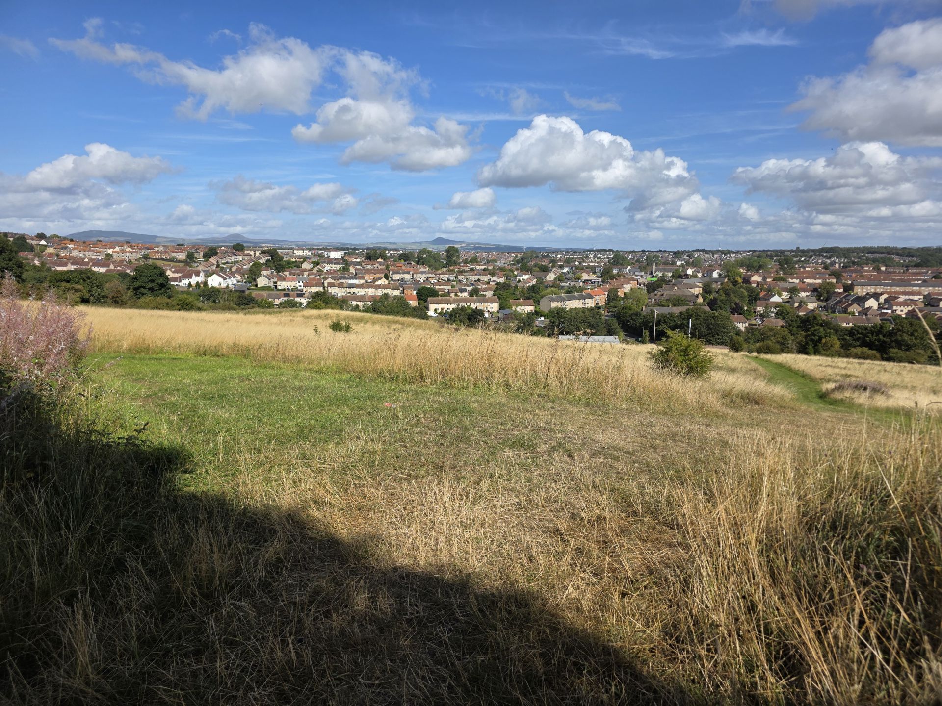 Kirkcaldy viewed from Rabbit Braes