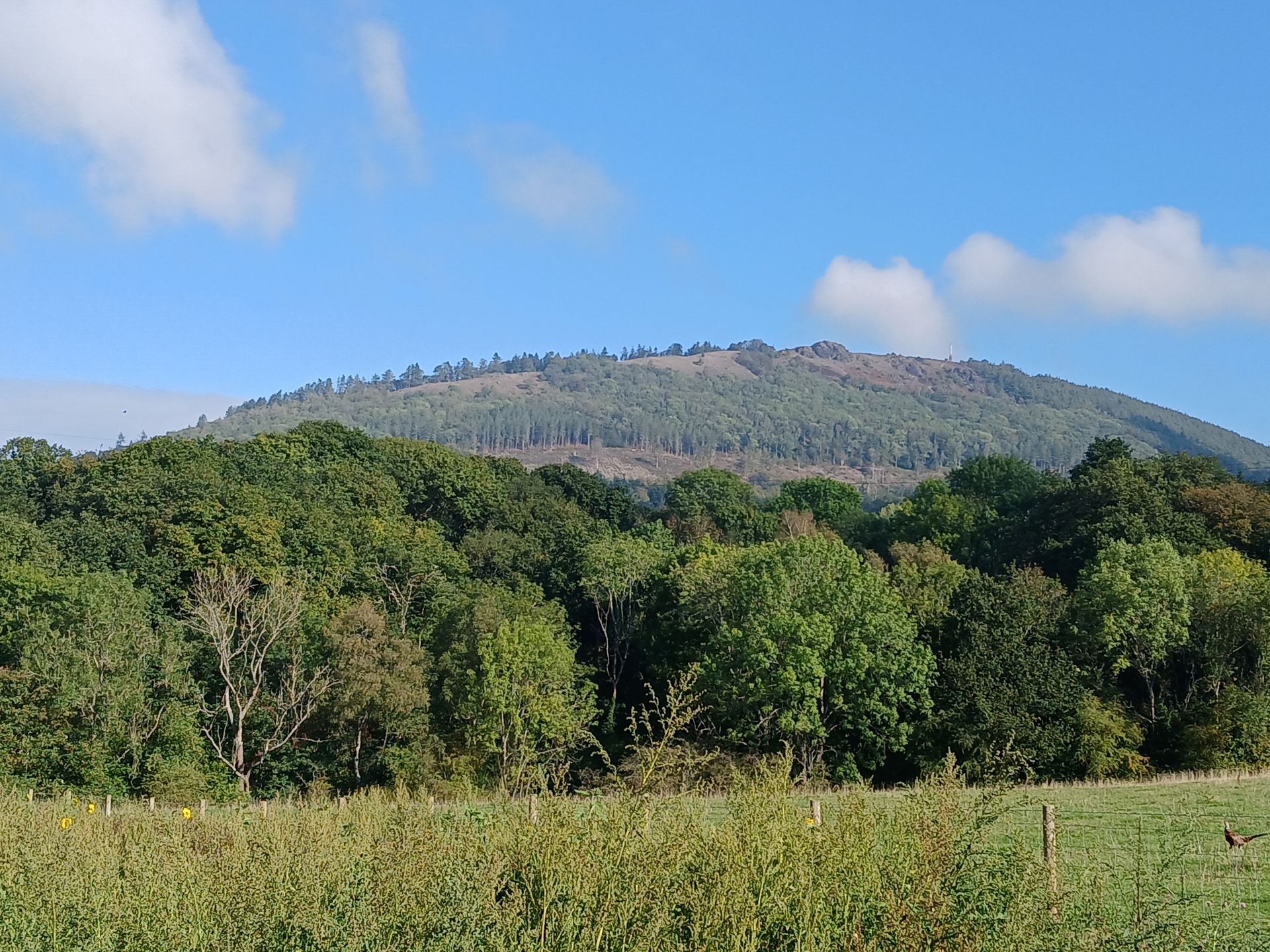 View of Wrekin