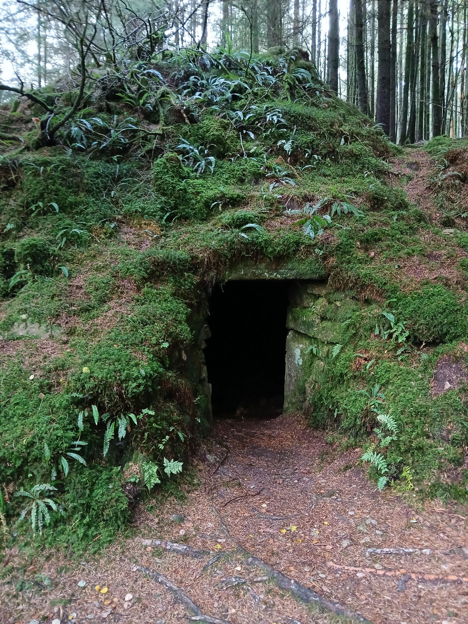 potato cave