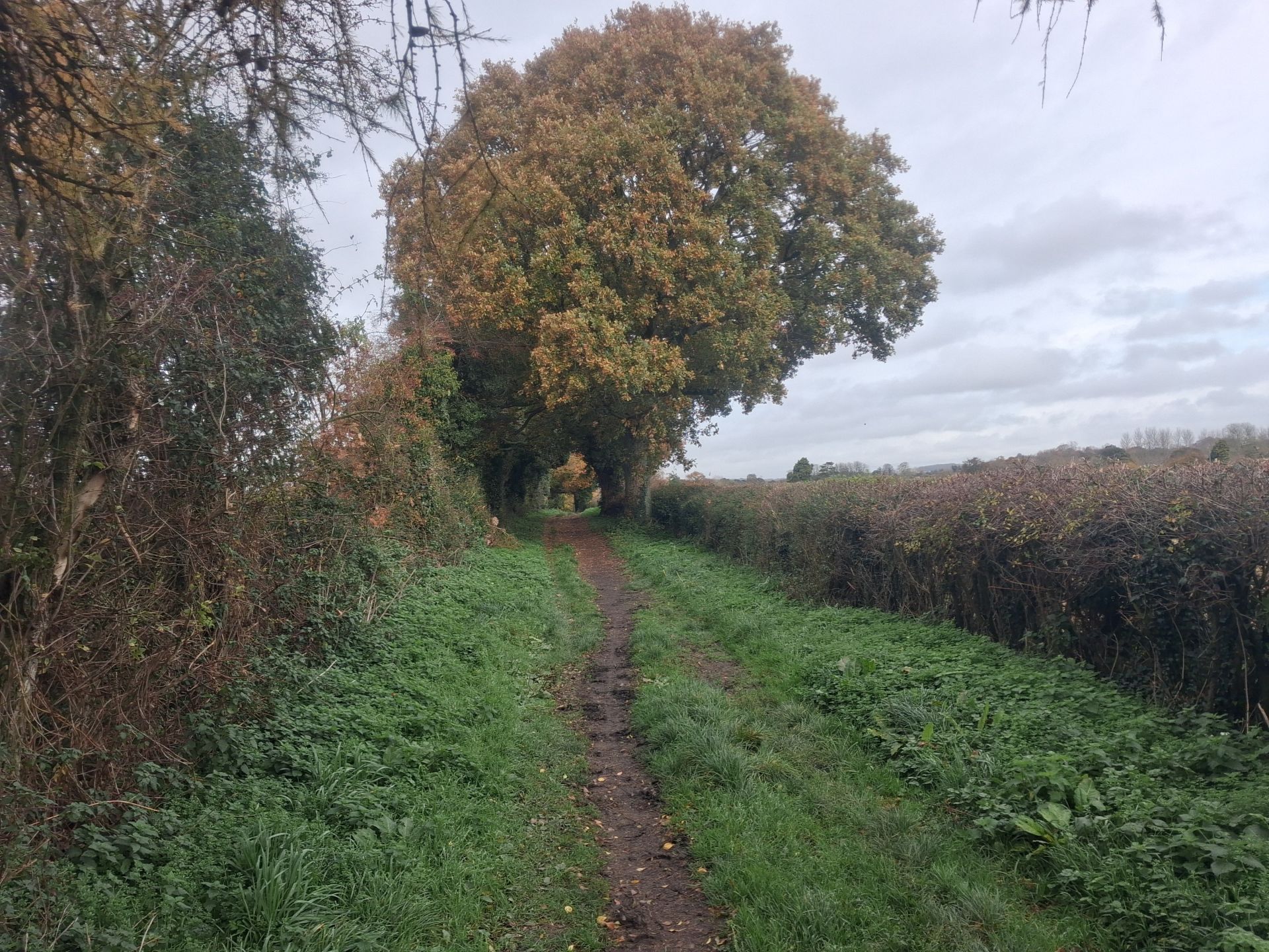 Footpath near Wonston