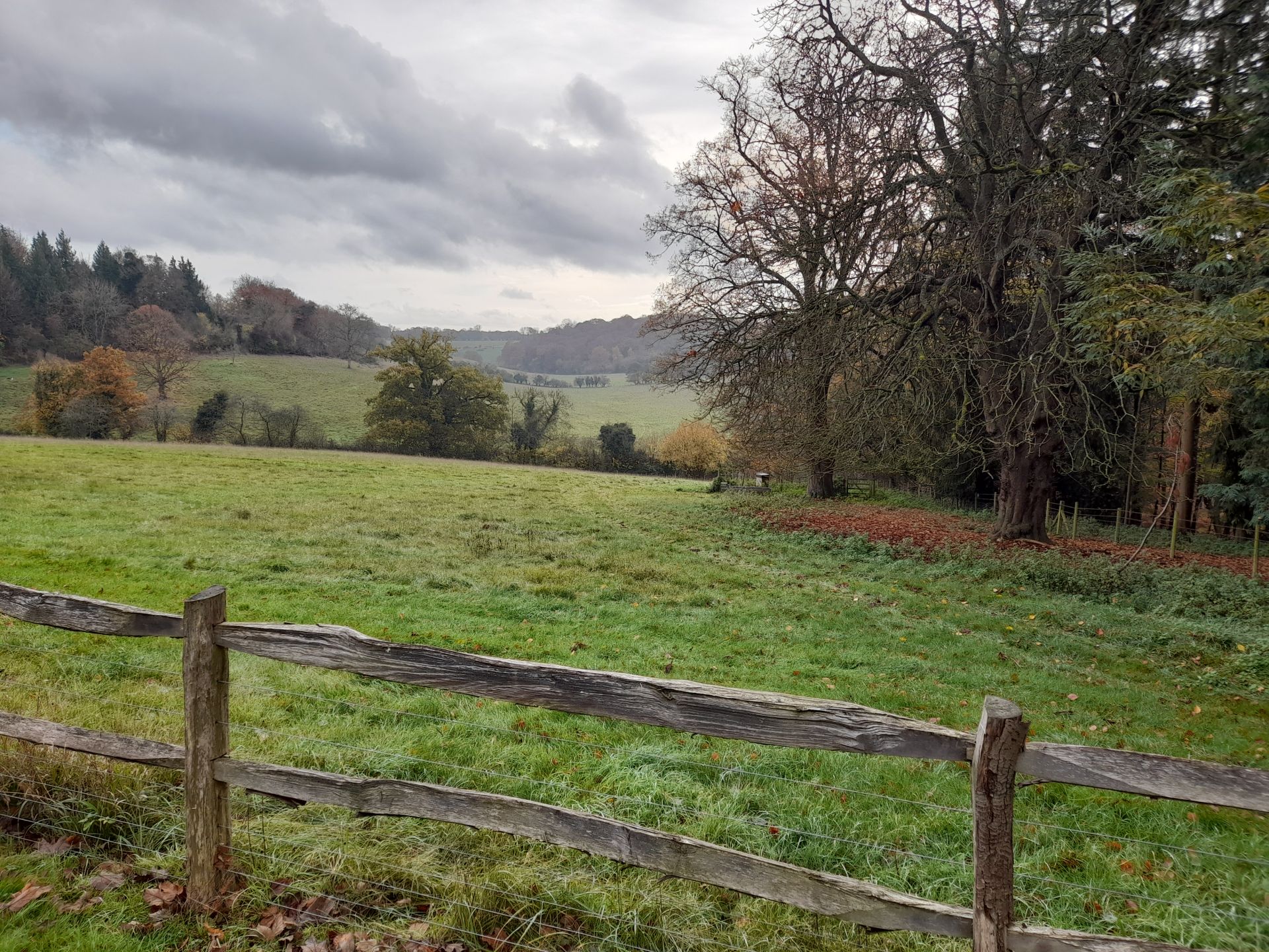 View from Greys Court