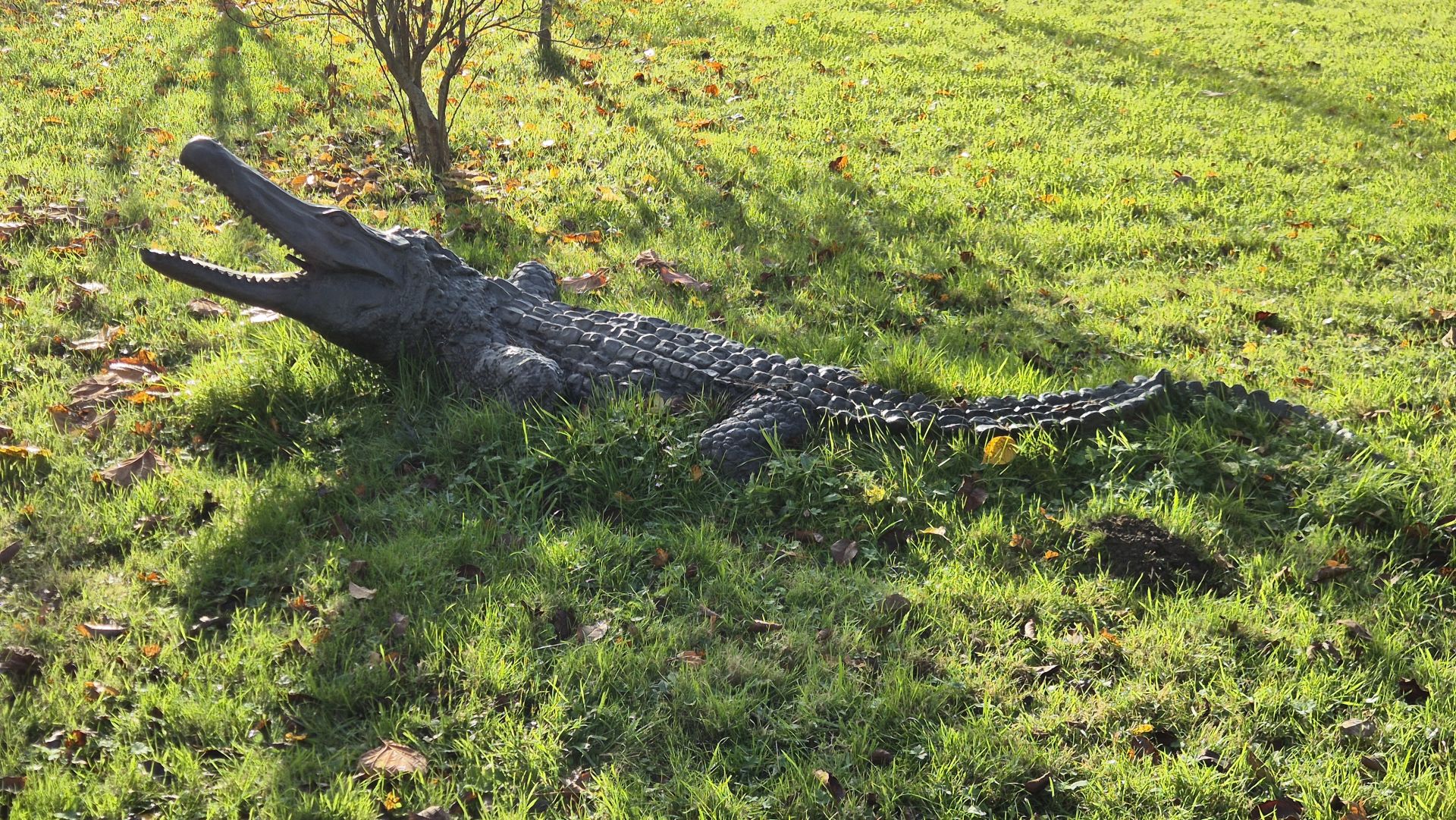 Crocodile Sculpture