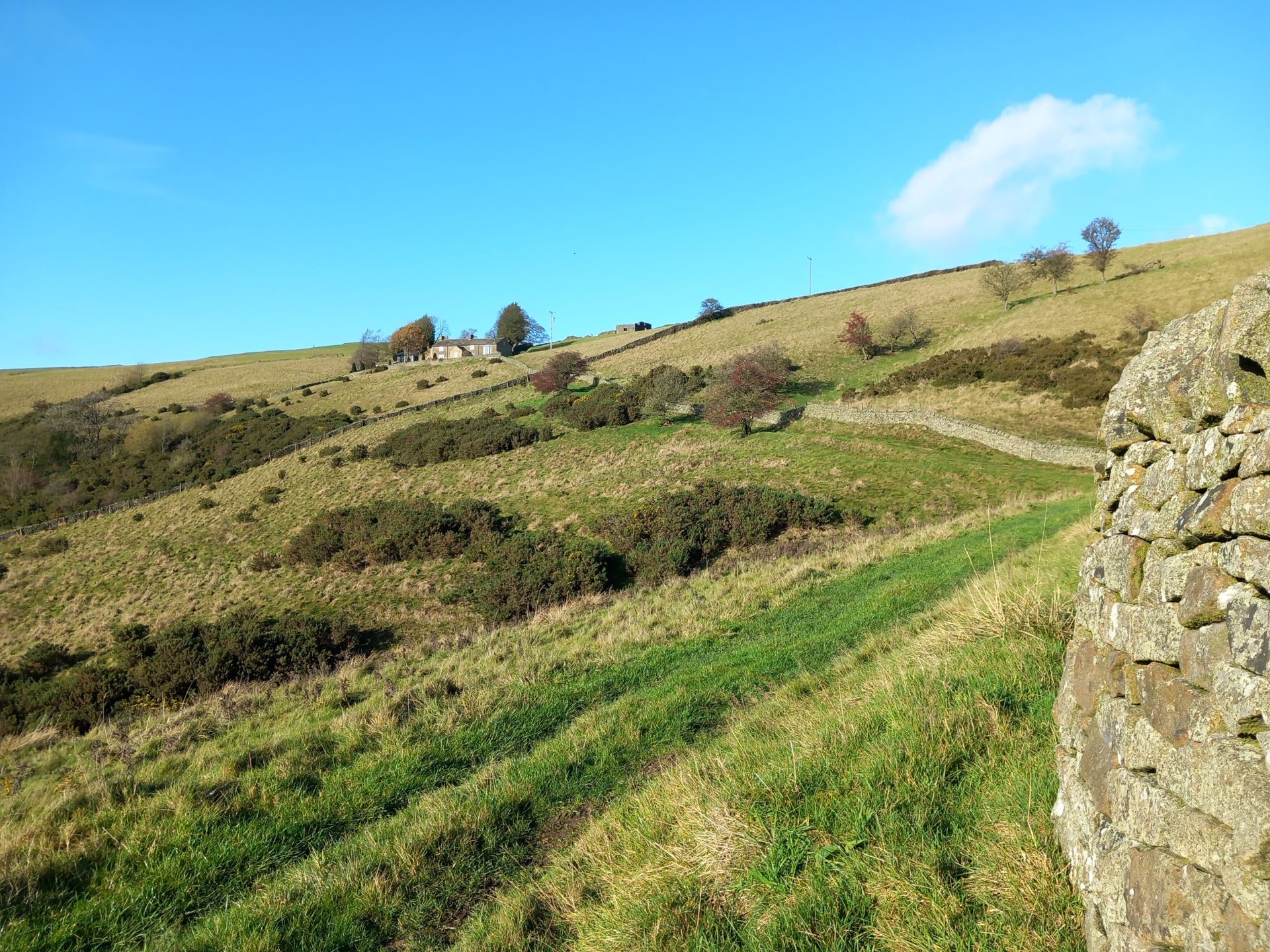 the climb to Yearns Low