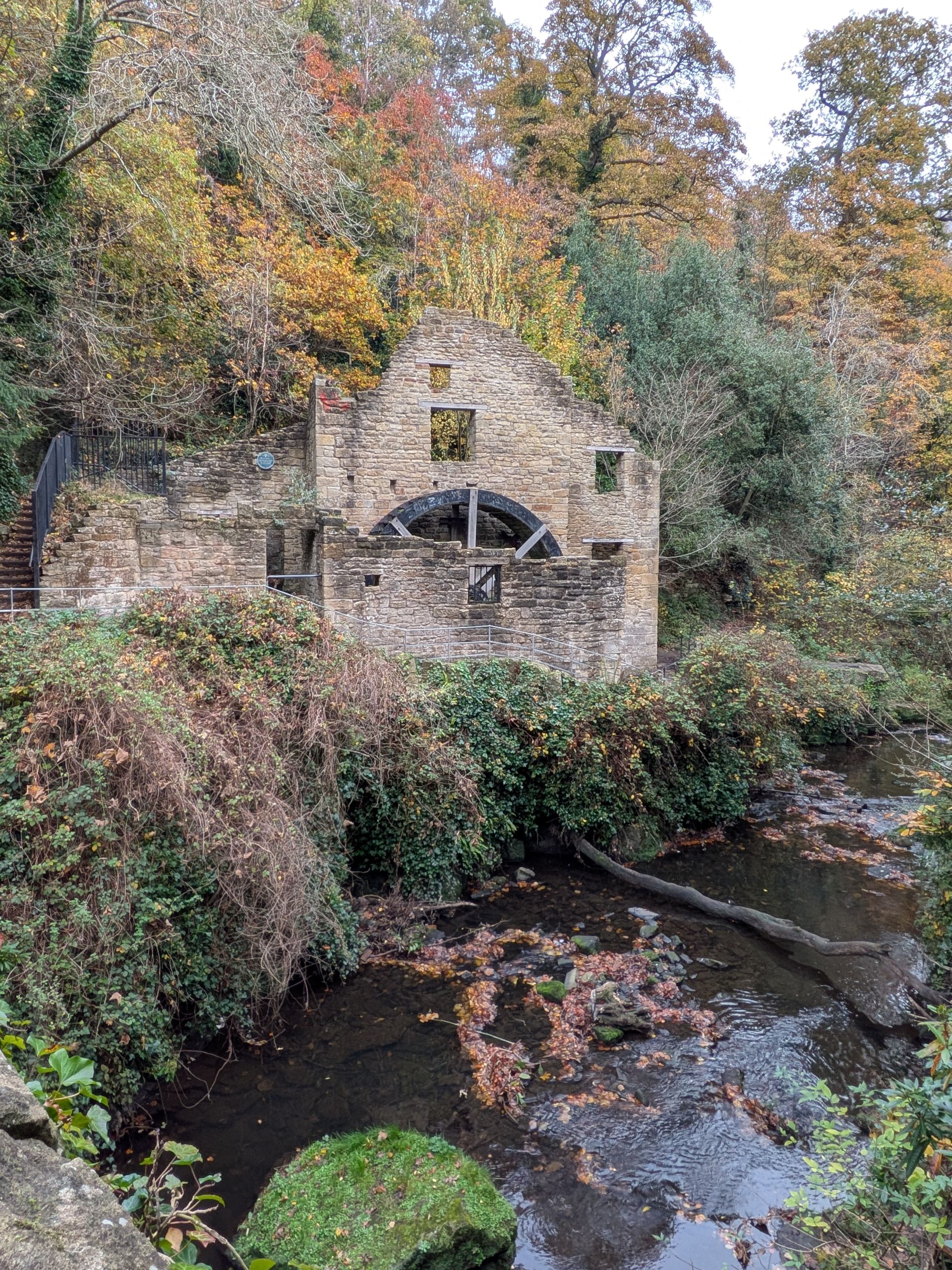 Jesmond Dene