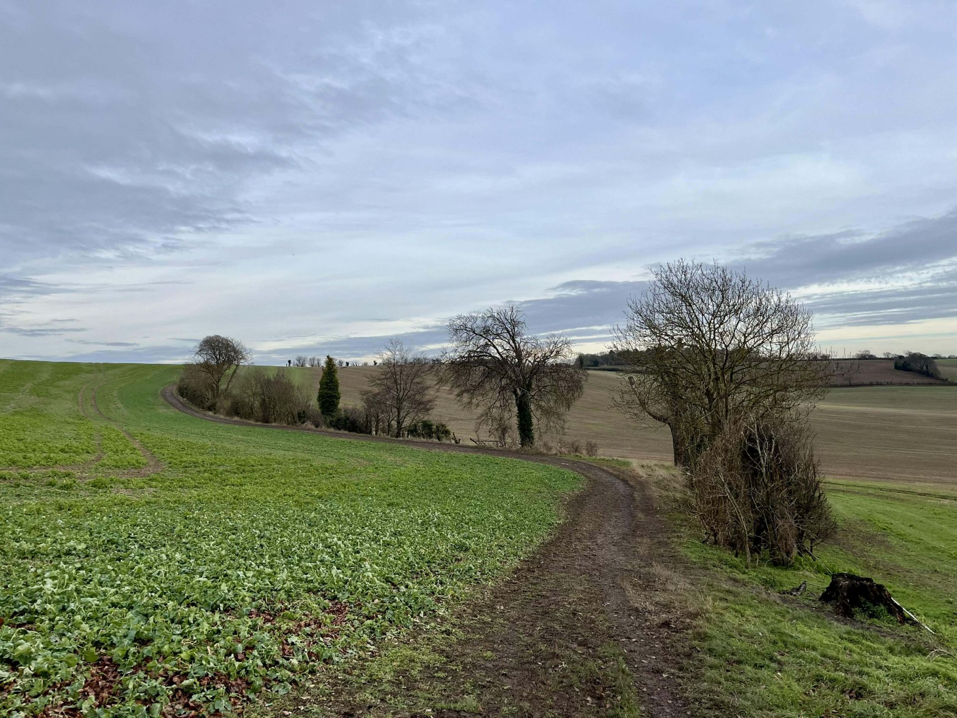 A path between arable fields
