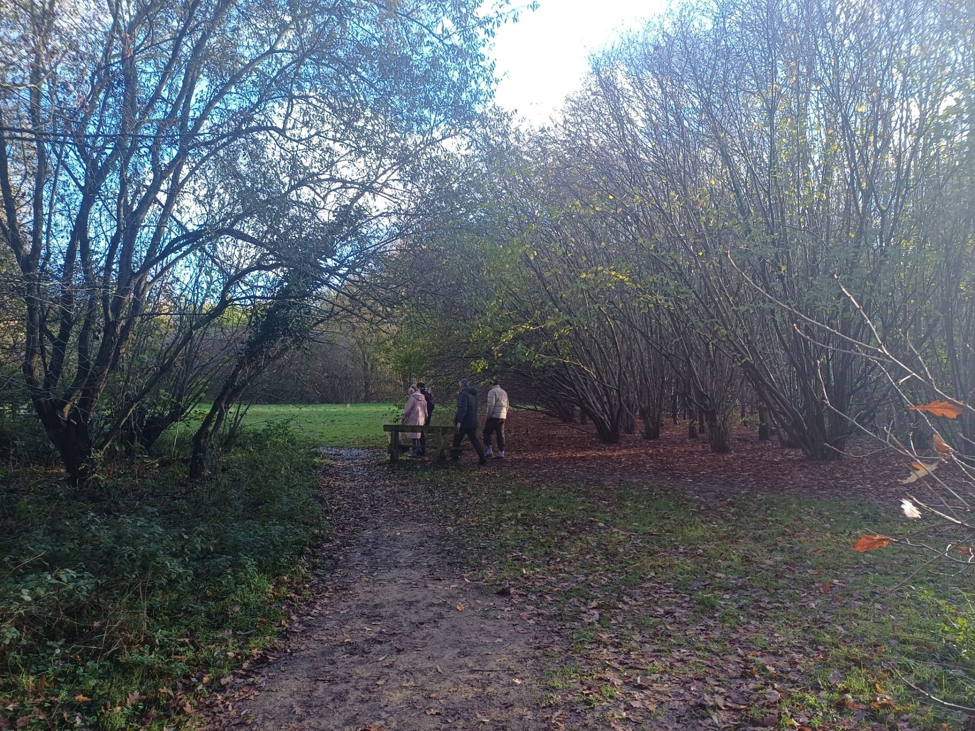 A family walking through Wymondley Woods