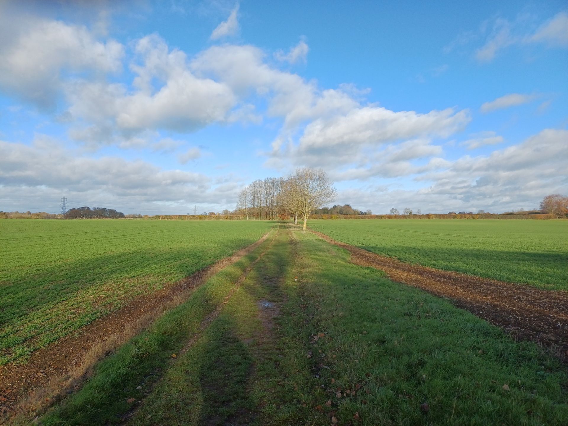 A footpath in the countryside
