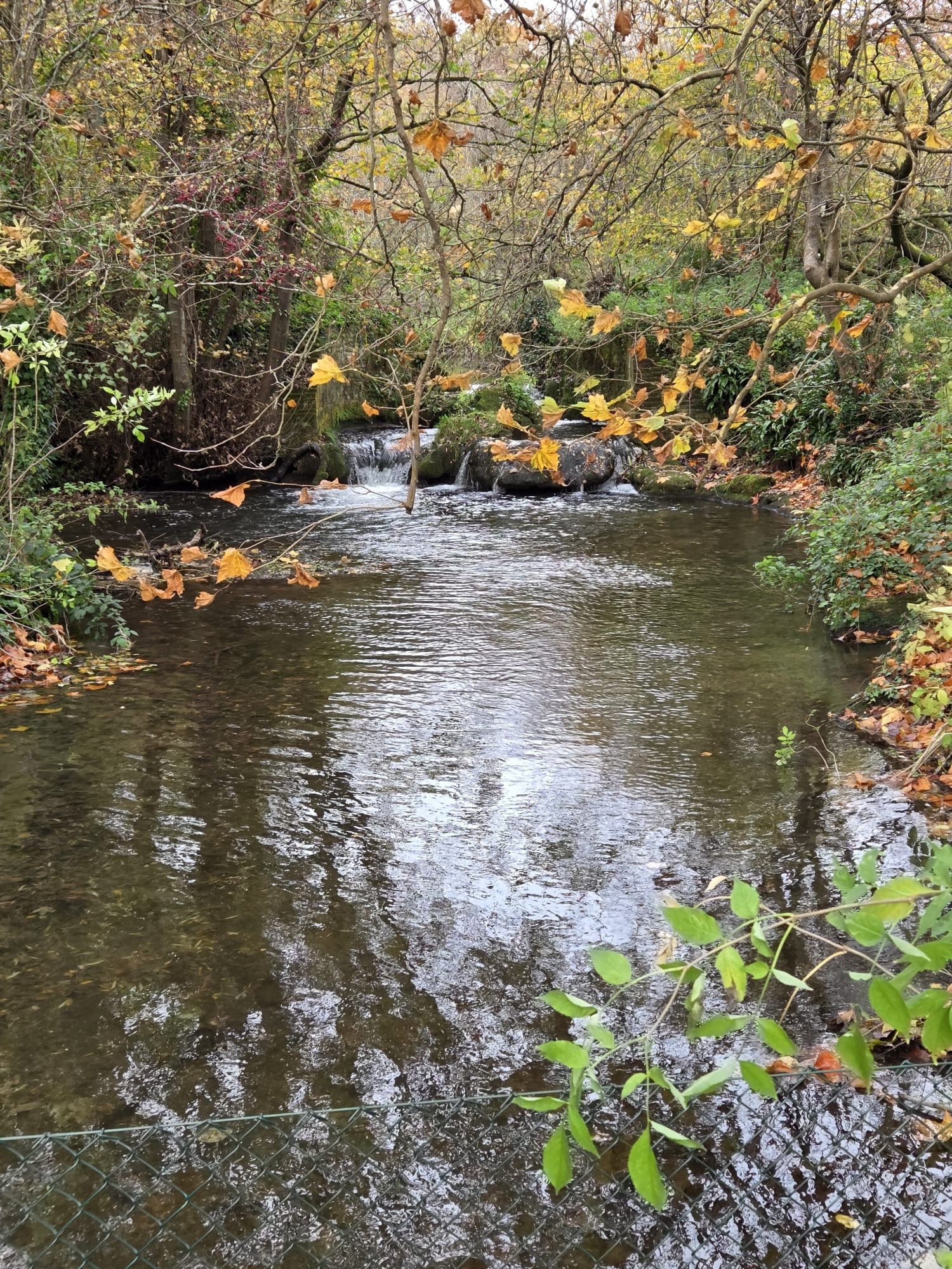 The Itchen at Otterbourne