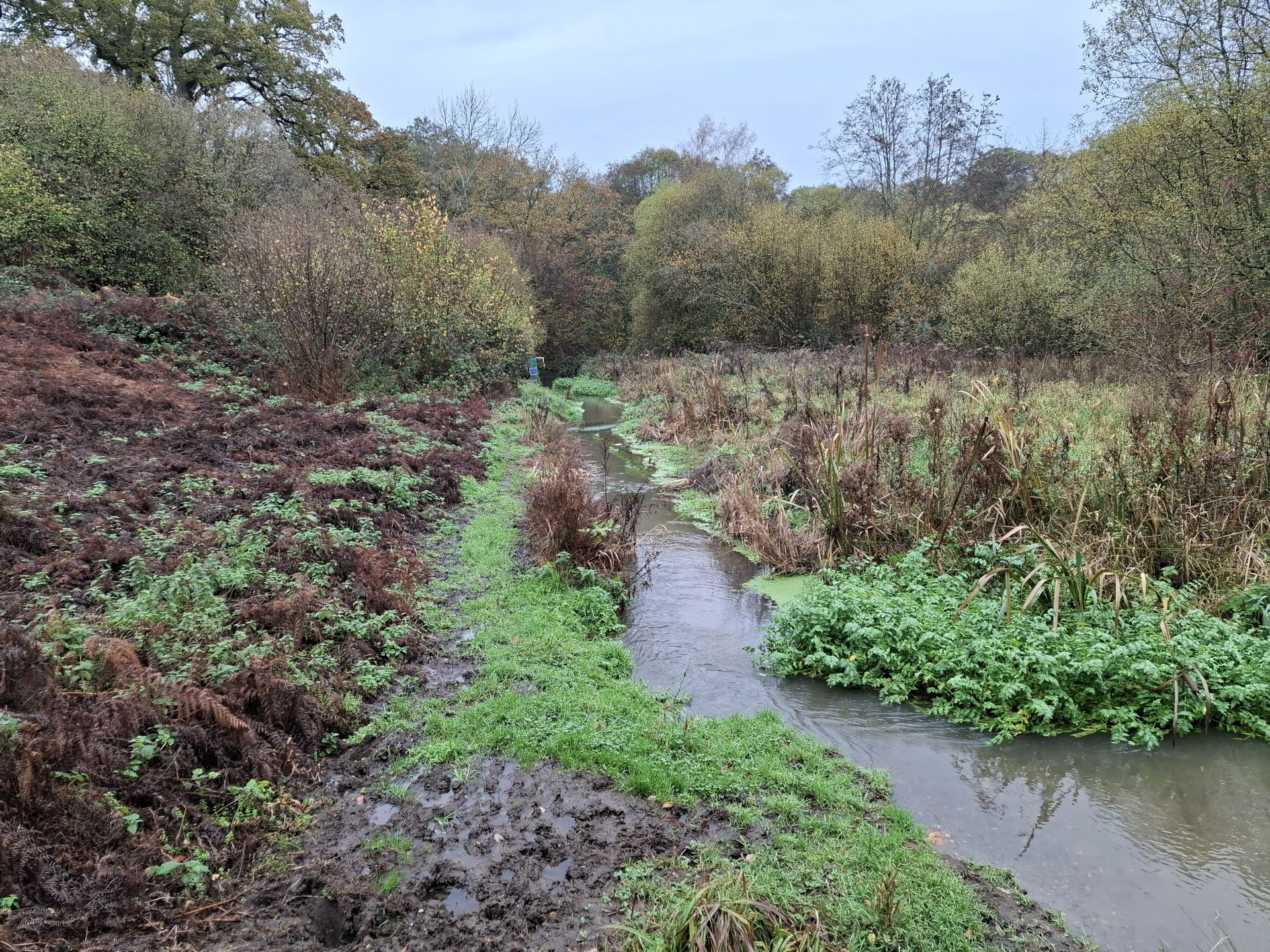 The Tilling Bourne stream