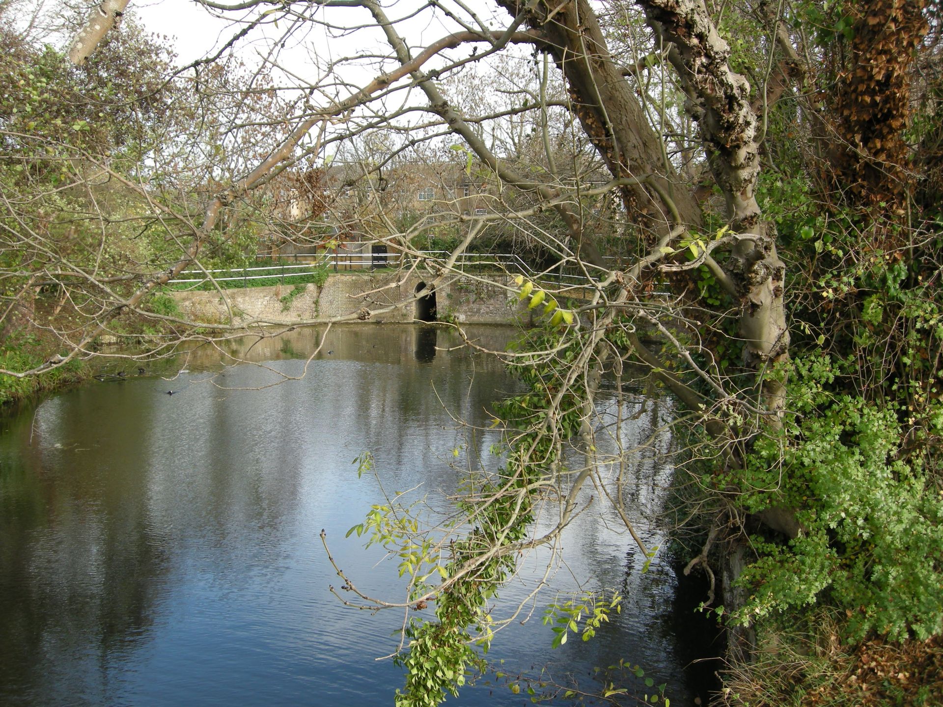 Old dock on River Lea