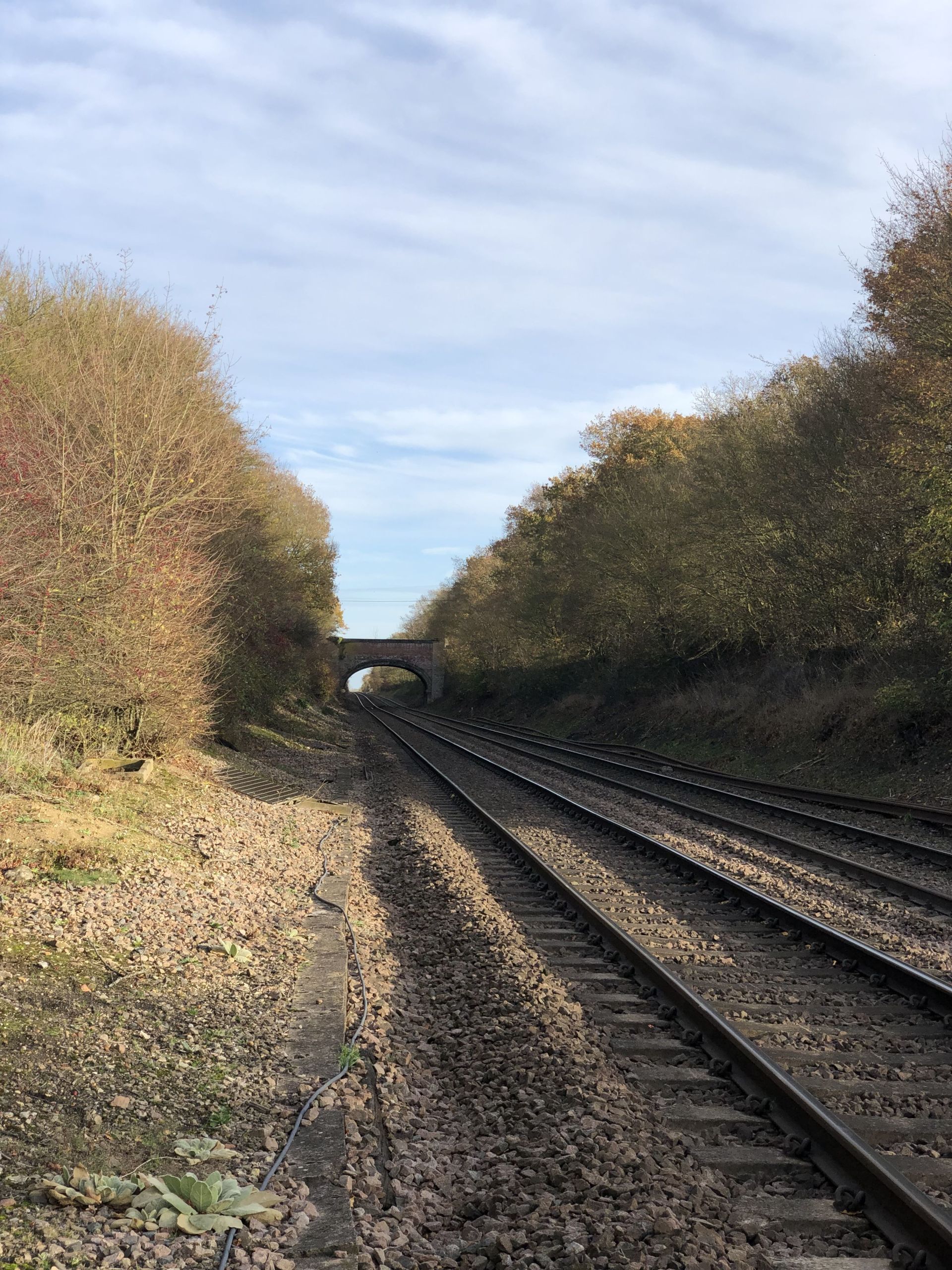Bury to Ipswich line