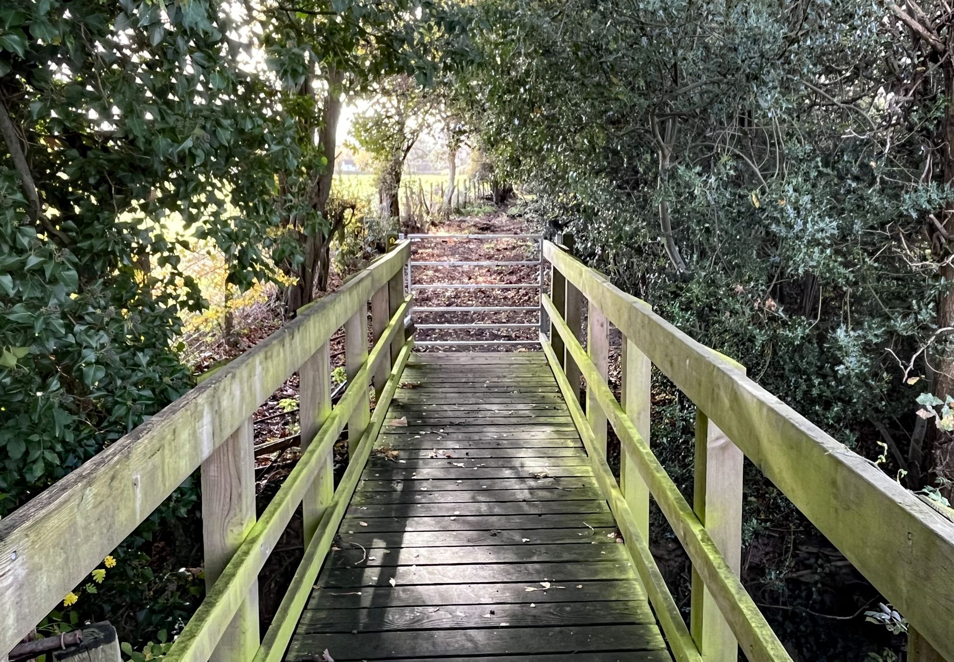 Wooden bridge over brook.