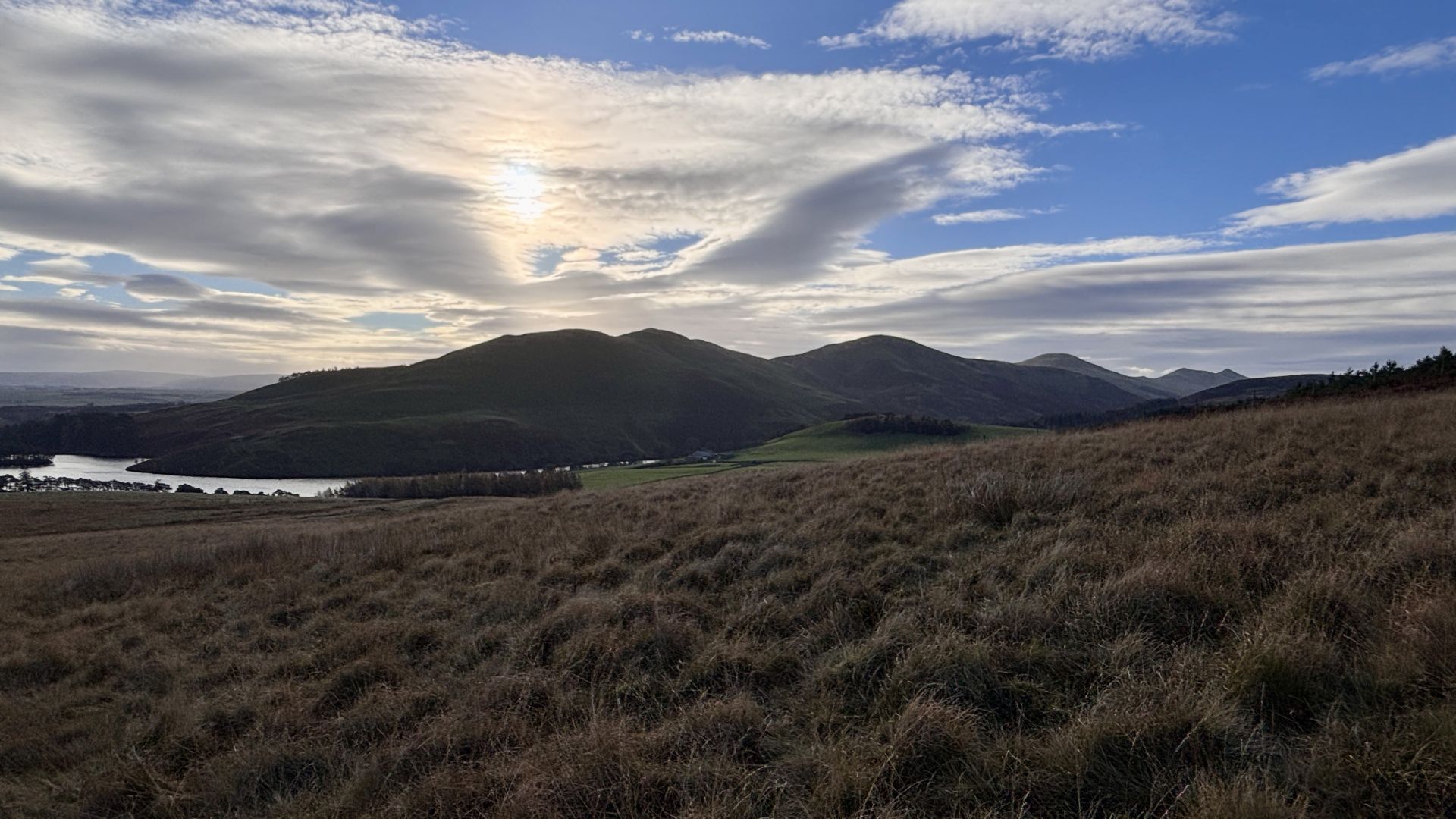 View from Harbour Hill