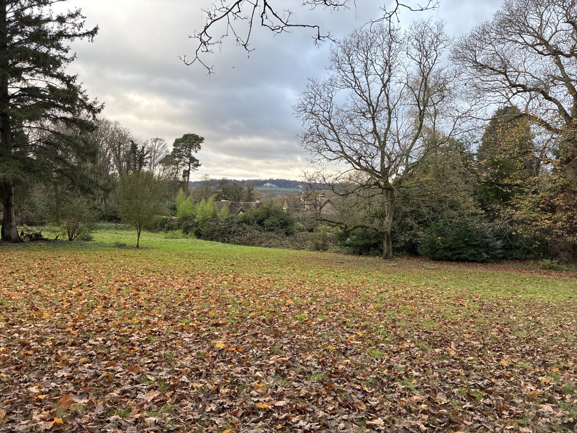 Dukes Meadow from Buckland