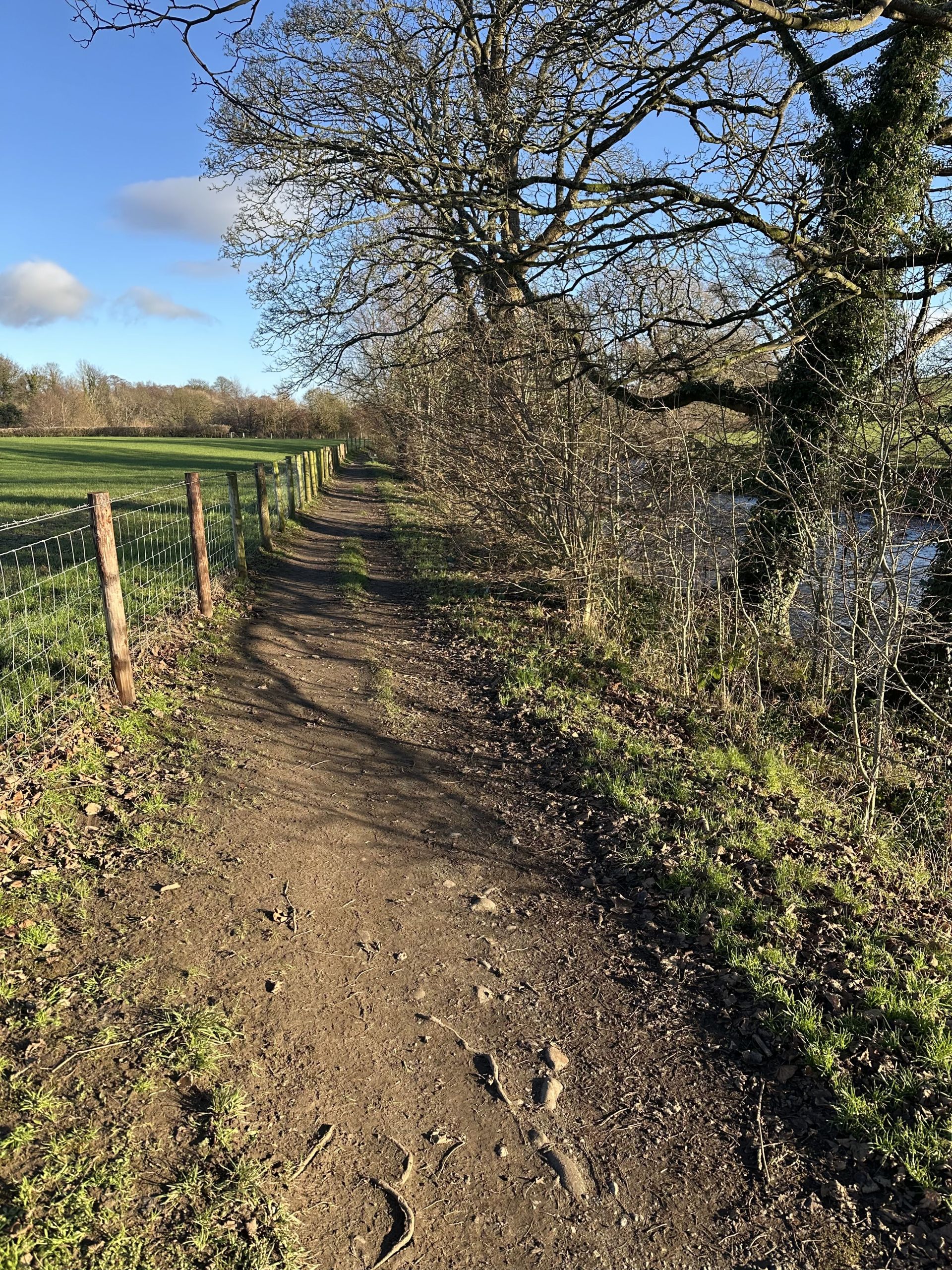 Path by the River Wenning