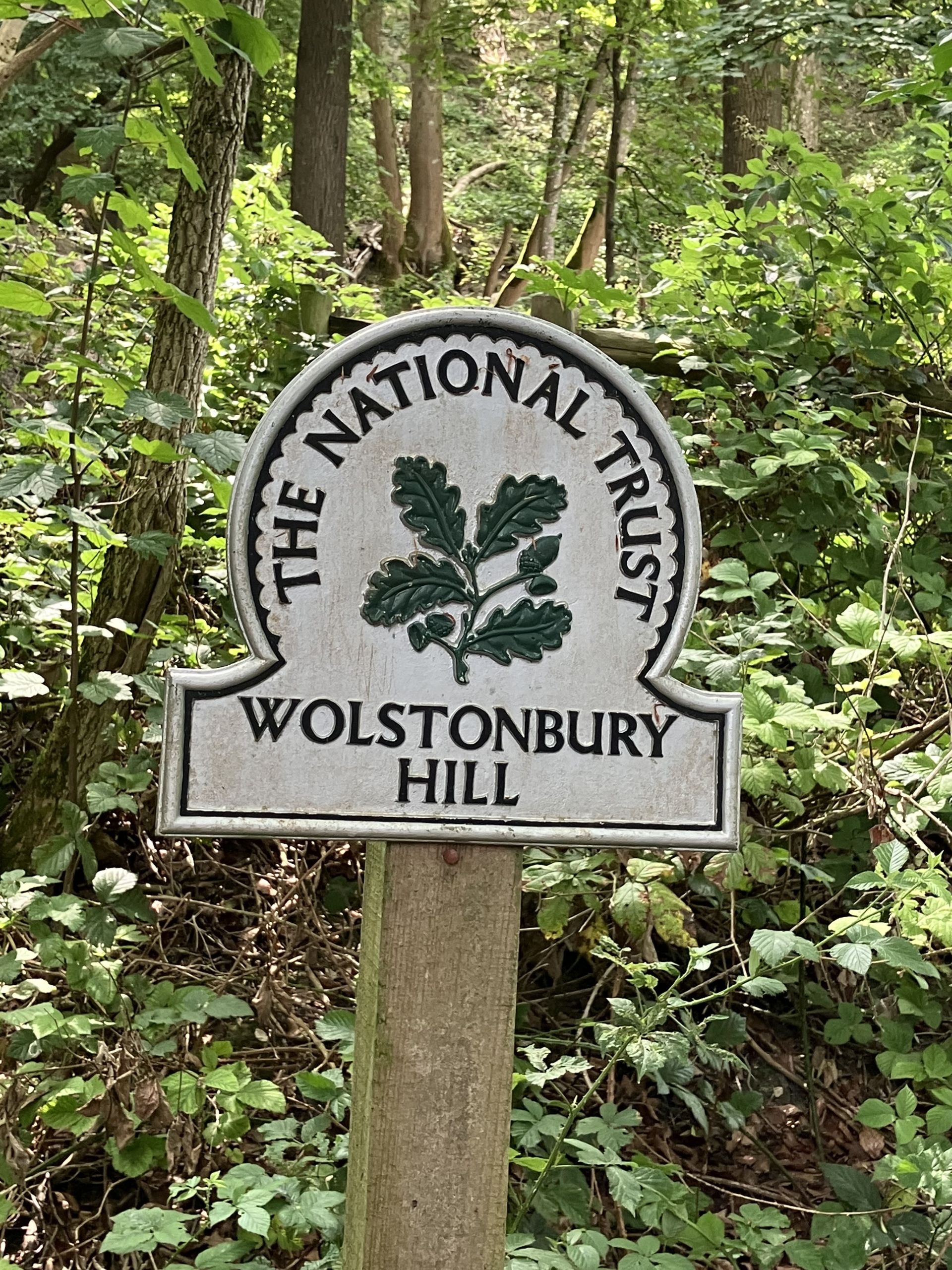 Wolstonbury Hill