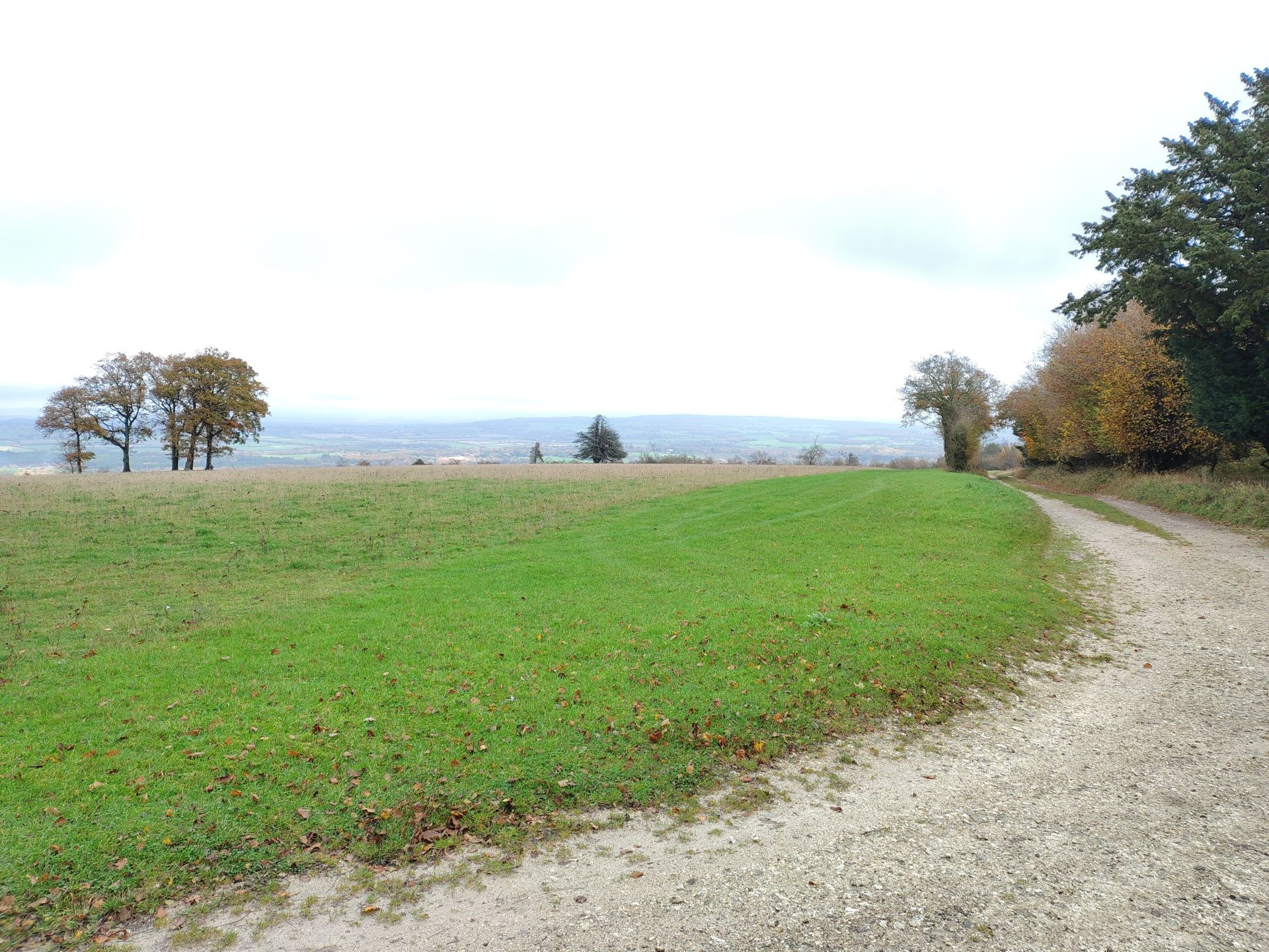 South Downs Way view