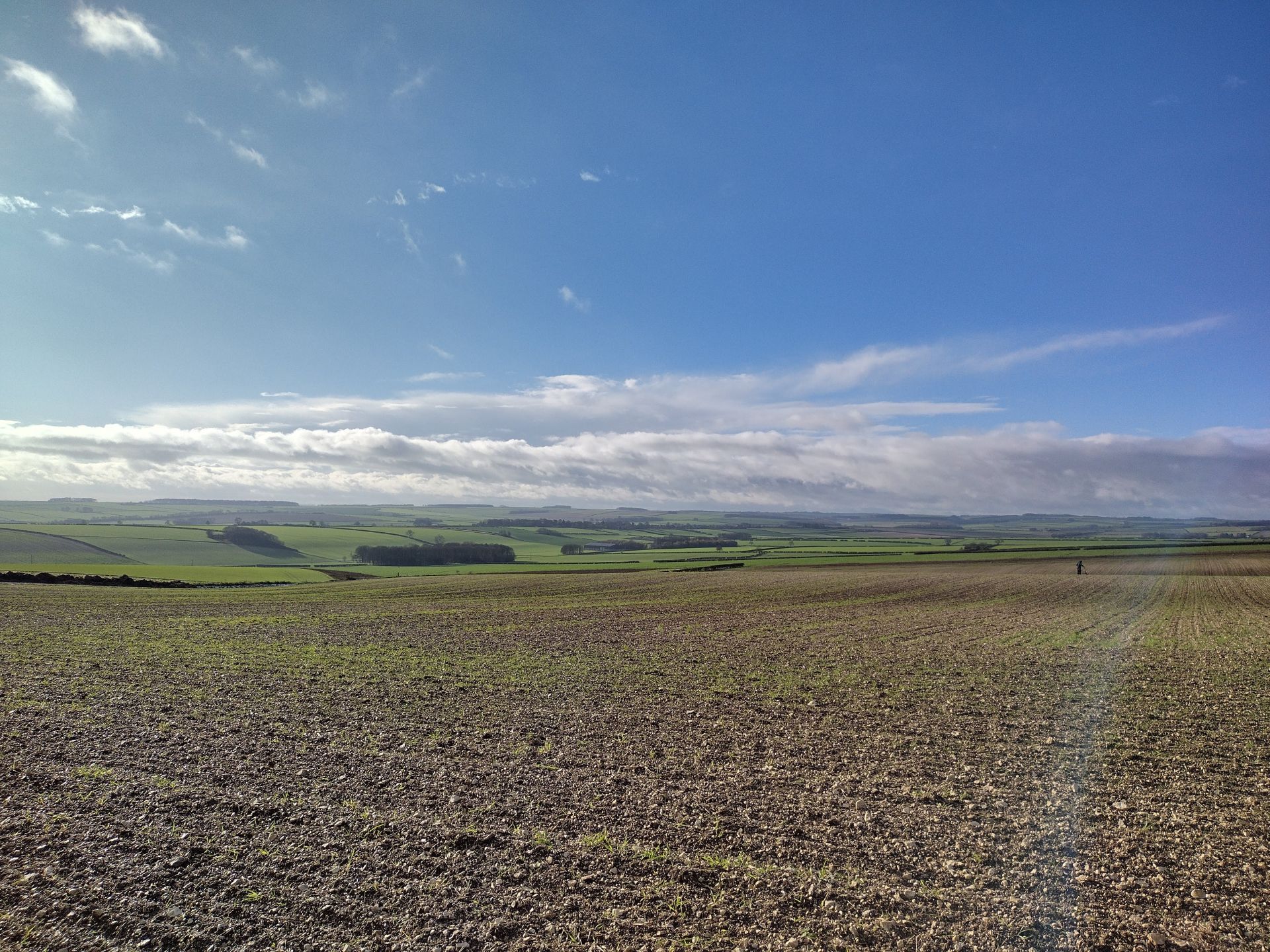 Rolling countryside under blue skies