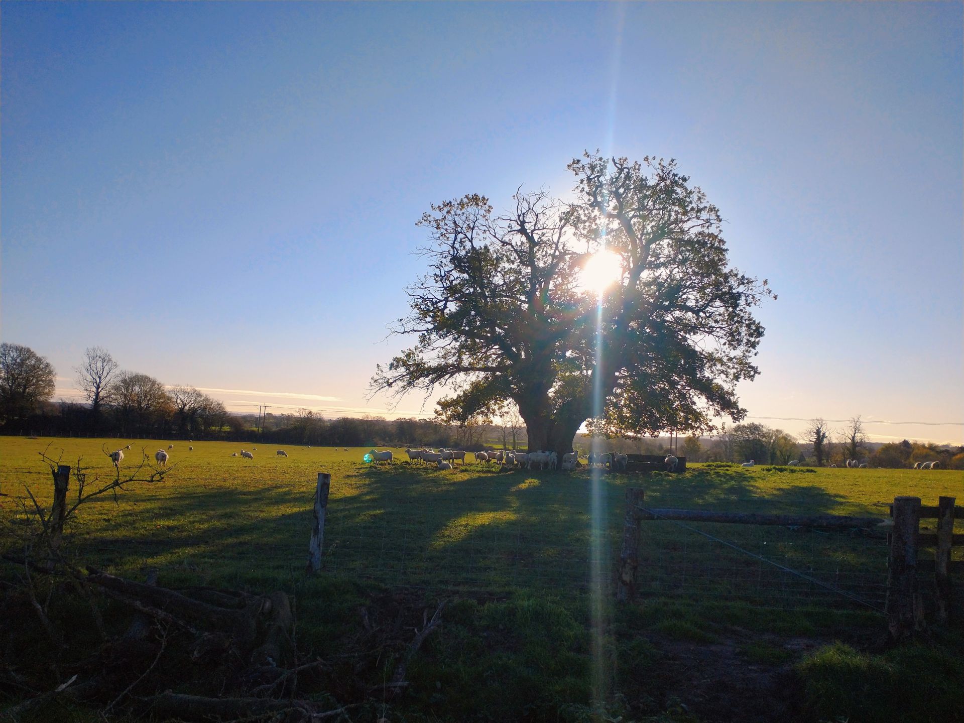 Fields south of Putley