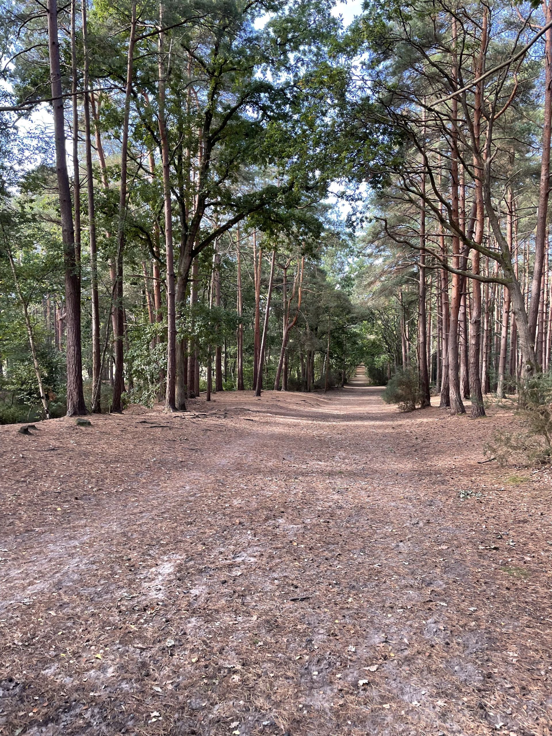 Horsell Common