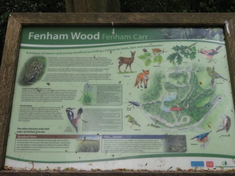 Display board about Fenham Carr