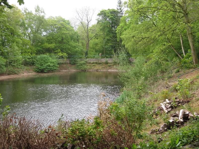 Reservoir near Fenham Carr