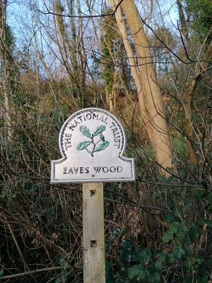 Eaves Wood