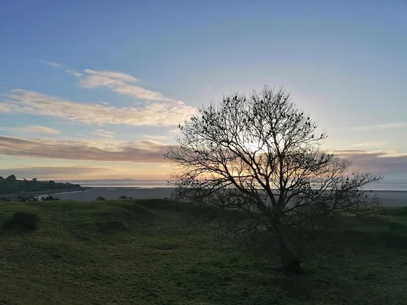 Beautiful view of the area 