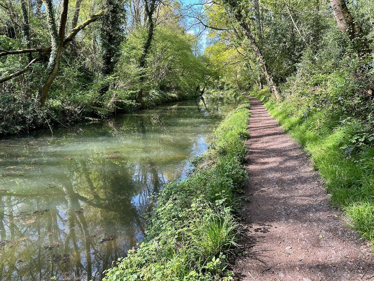 Sunny towpath on Basingstoke Canal