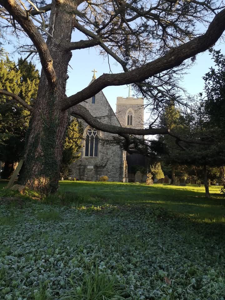 Sacombe church through trees