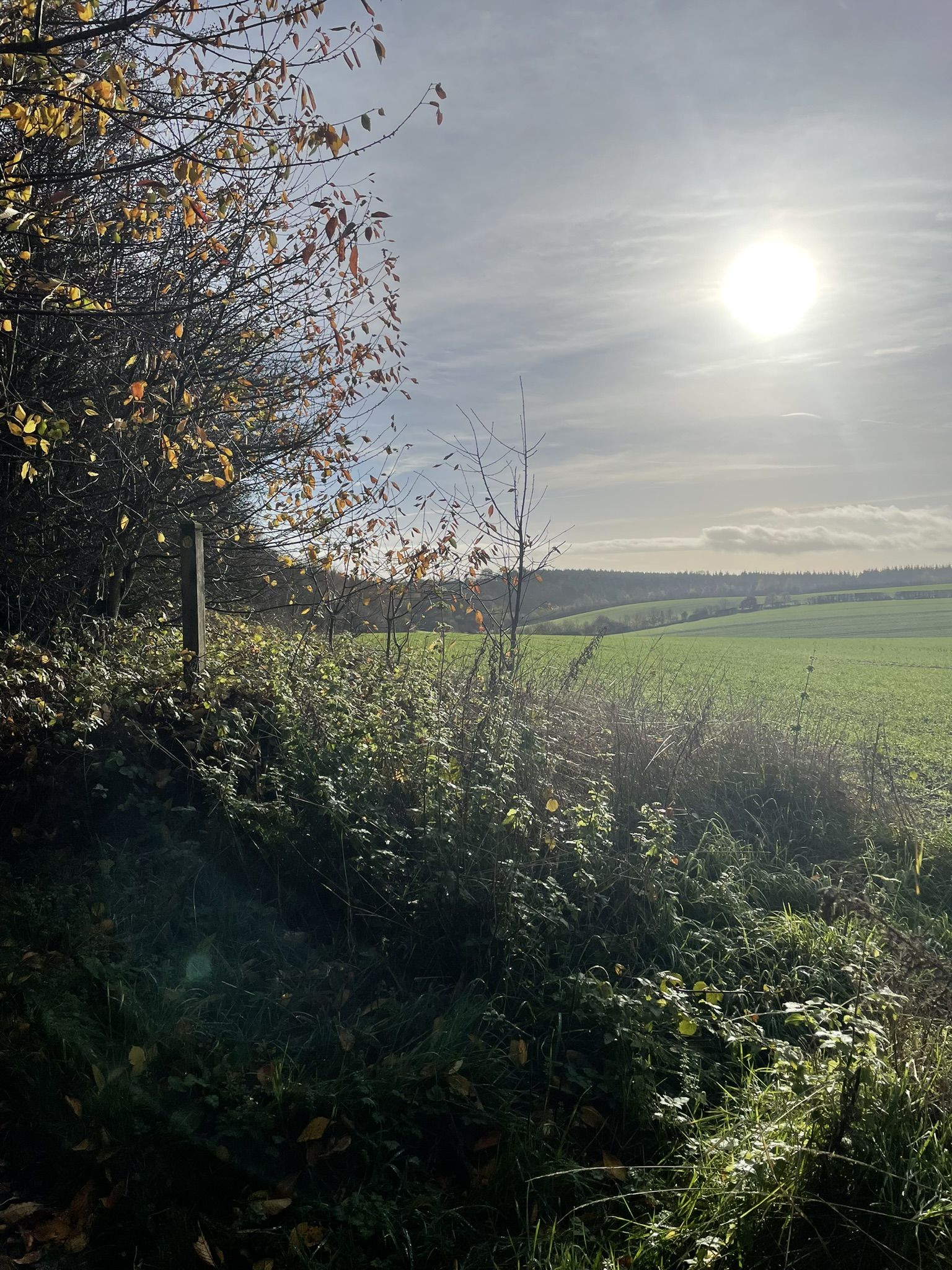 View across fields towards 