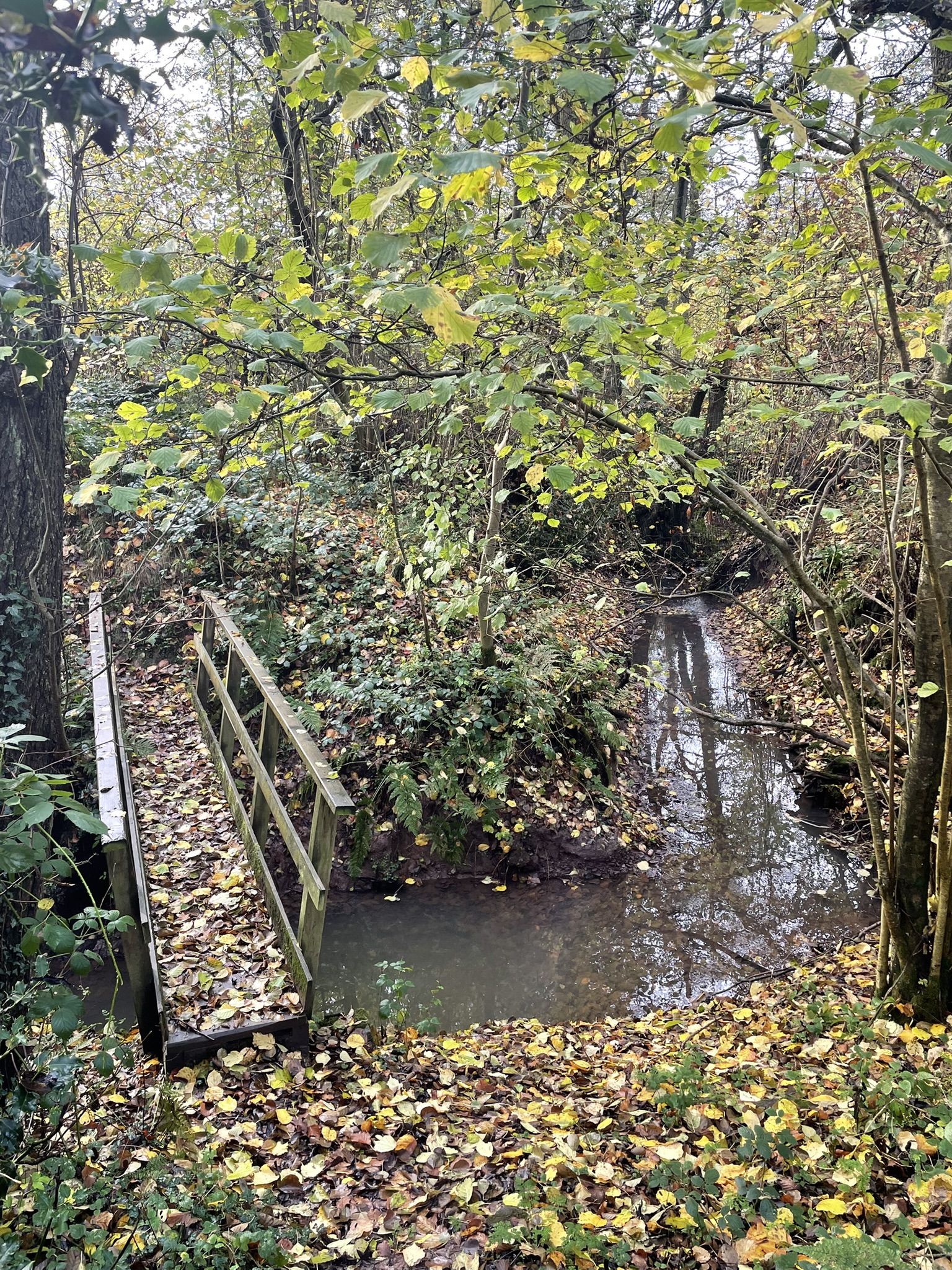 Foot bridge across stream