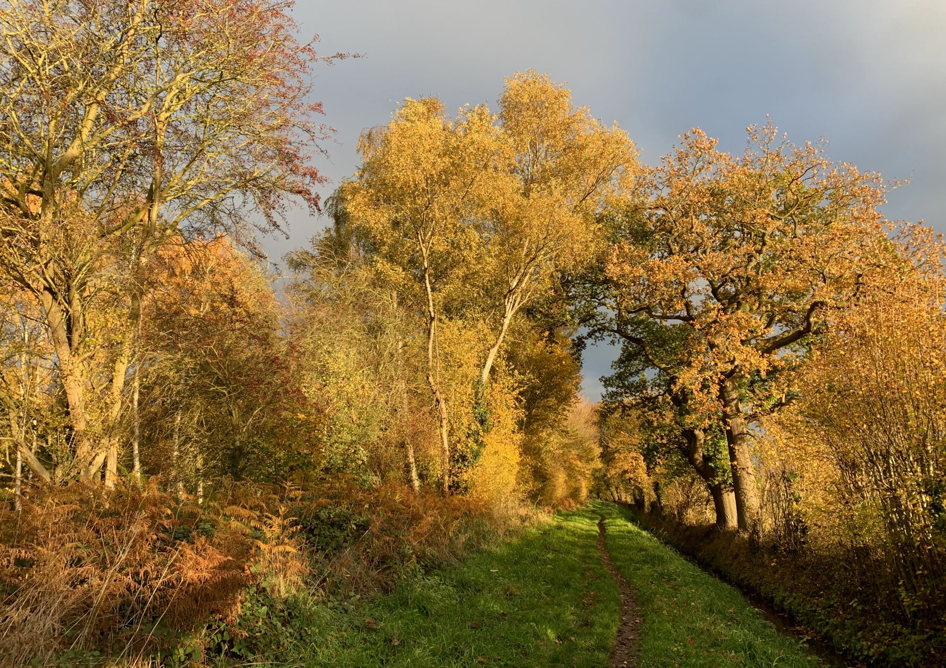 The Minster Way near Grimston Wood