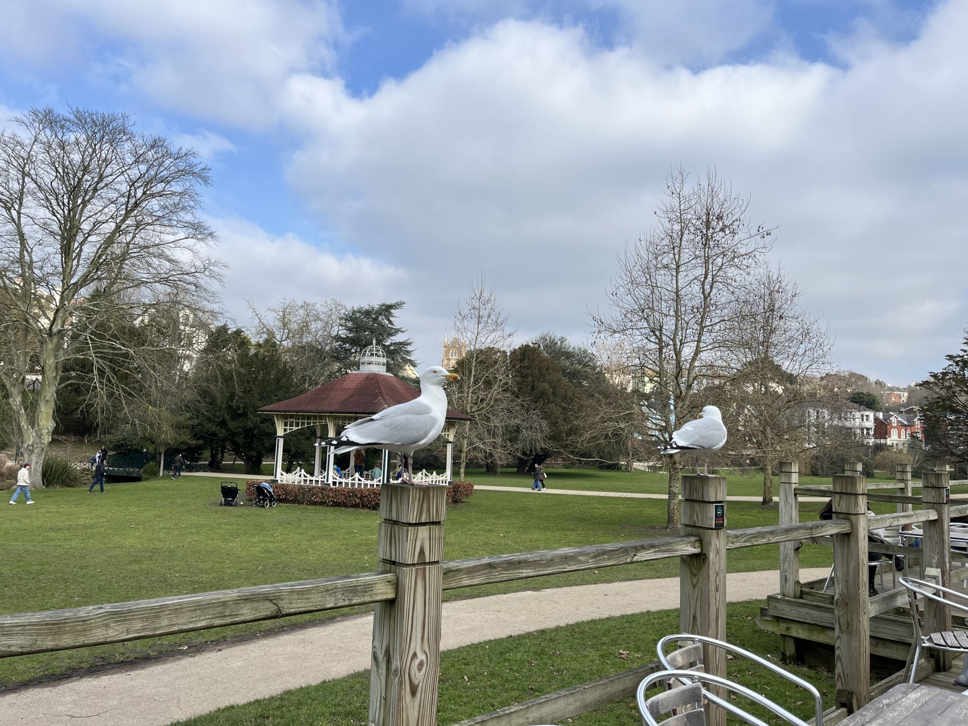 View from cafe Alexandra Park