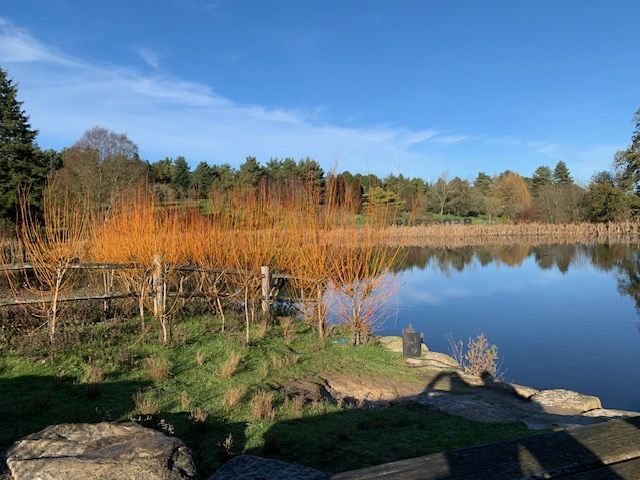 Beautiful view of lake and surroundings. 