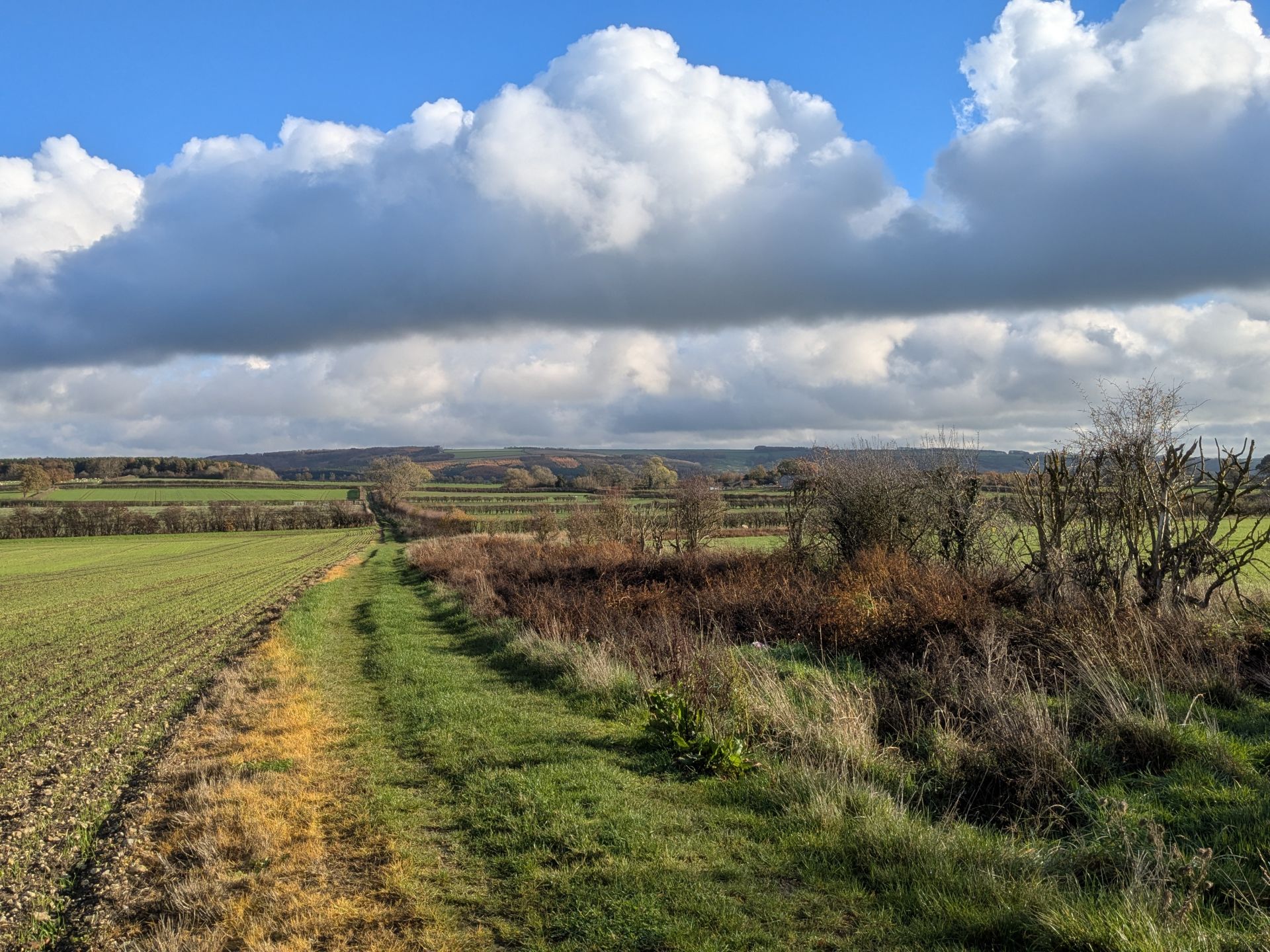 The Wolds are in sight!