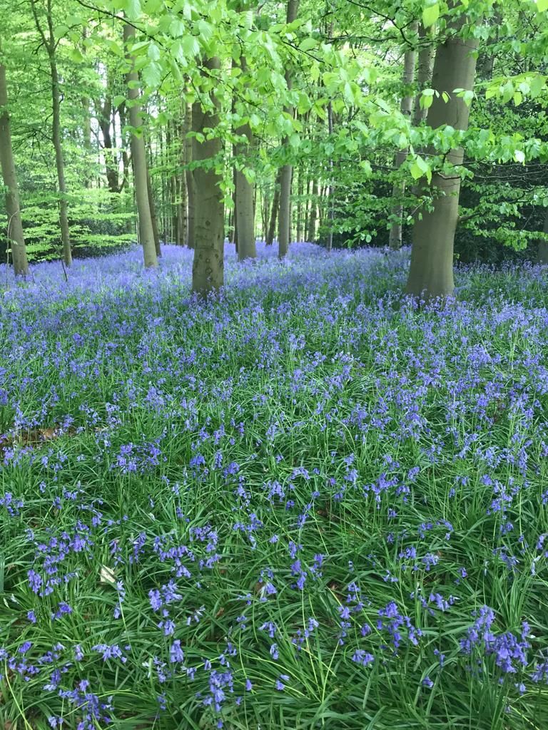 Saturday afternoon walk