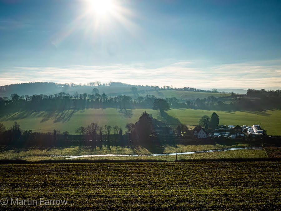 winter sun over fields and trees