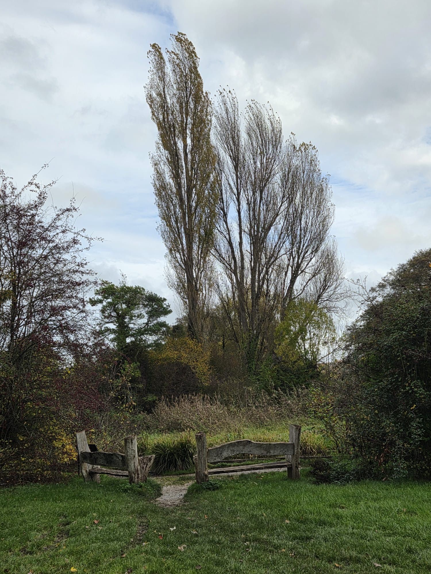 Seating by the Itchen