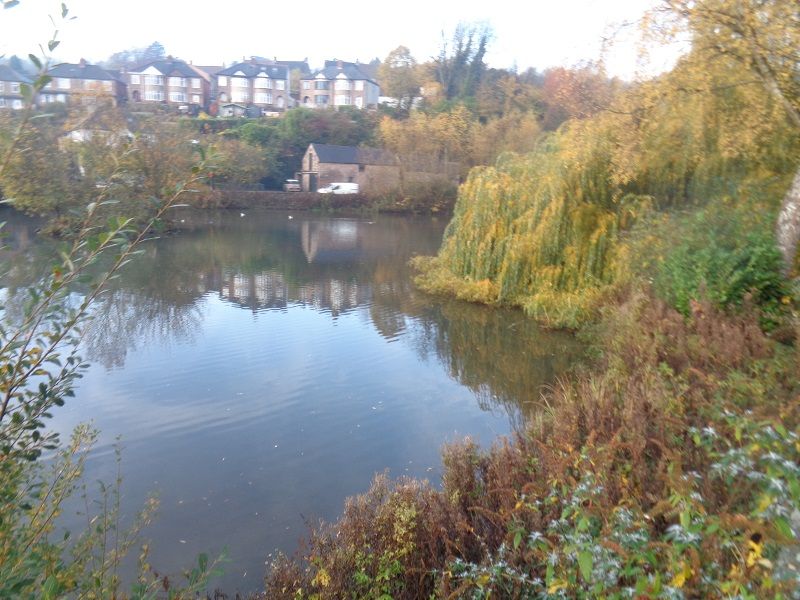 Cromford Pond