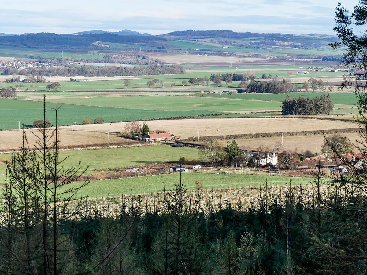 The view over Kilgour towards Pitmedden Forest from Drumdreel Wood