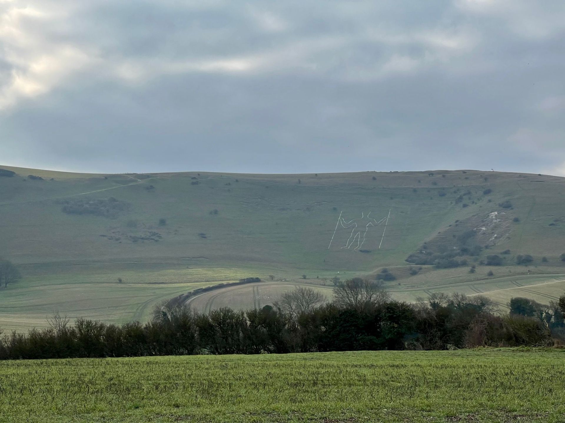 South Downs view