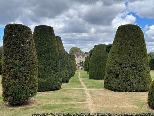 The Yew Garden at Packwood House, copyright Graham Hogg, used under Creative Commons licence v2.0.