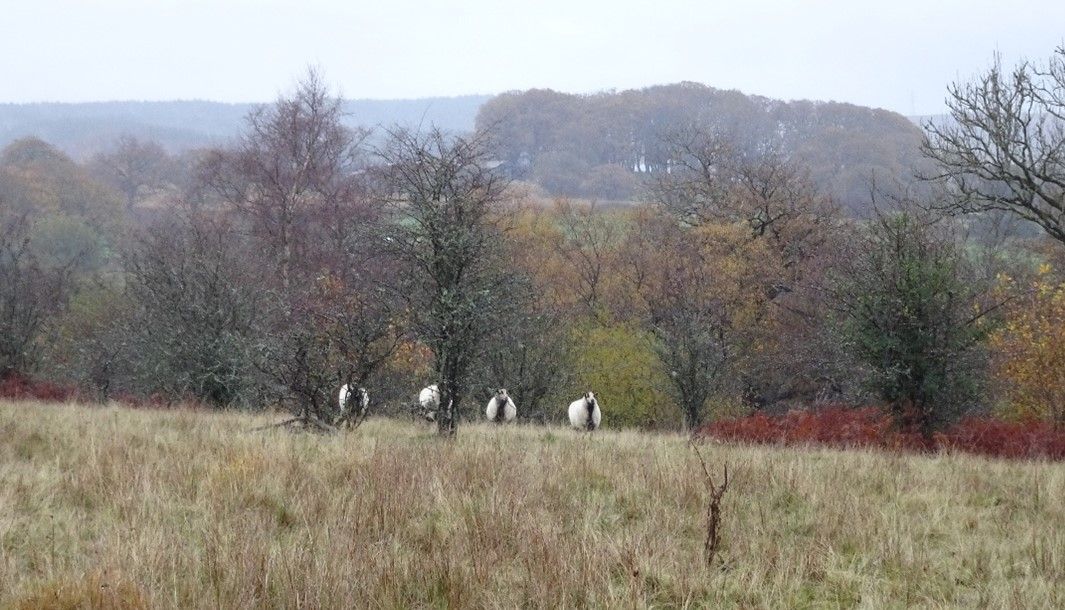 Hirwaun Highways, Byways and Tramways