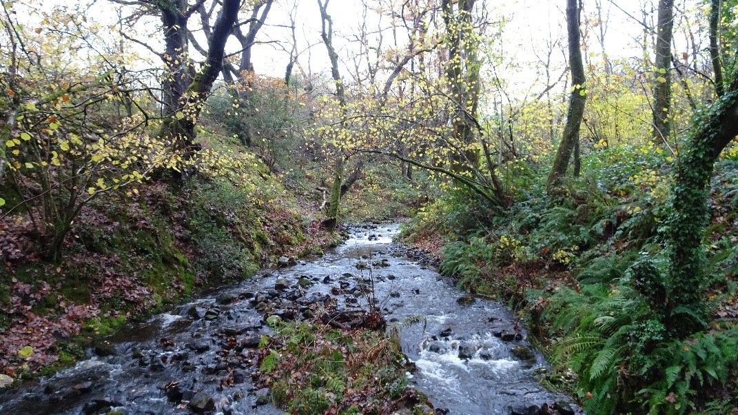 Hirwaun Highways, Byways and Tramways