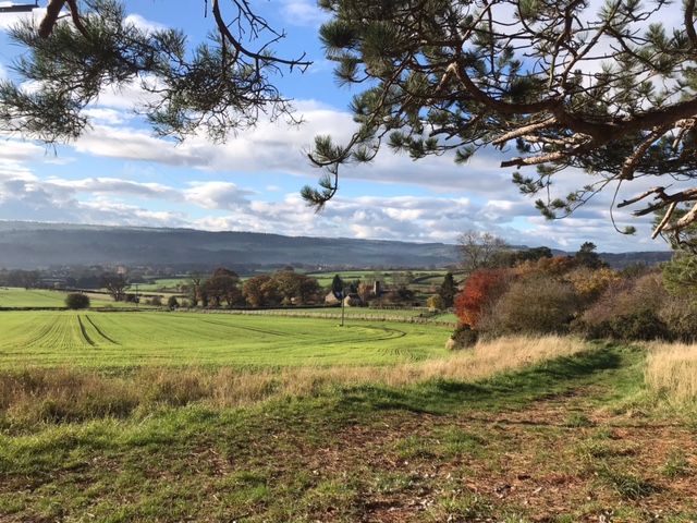 view across fields