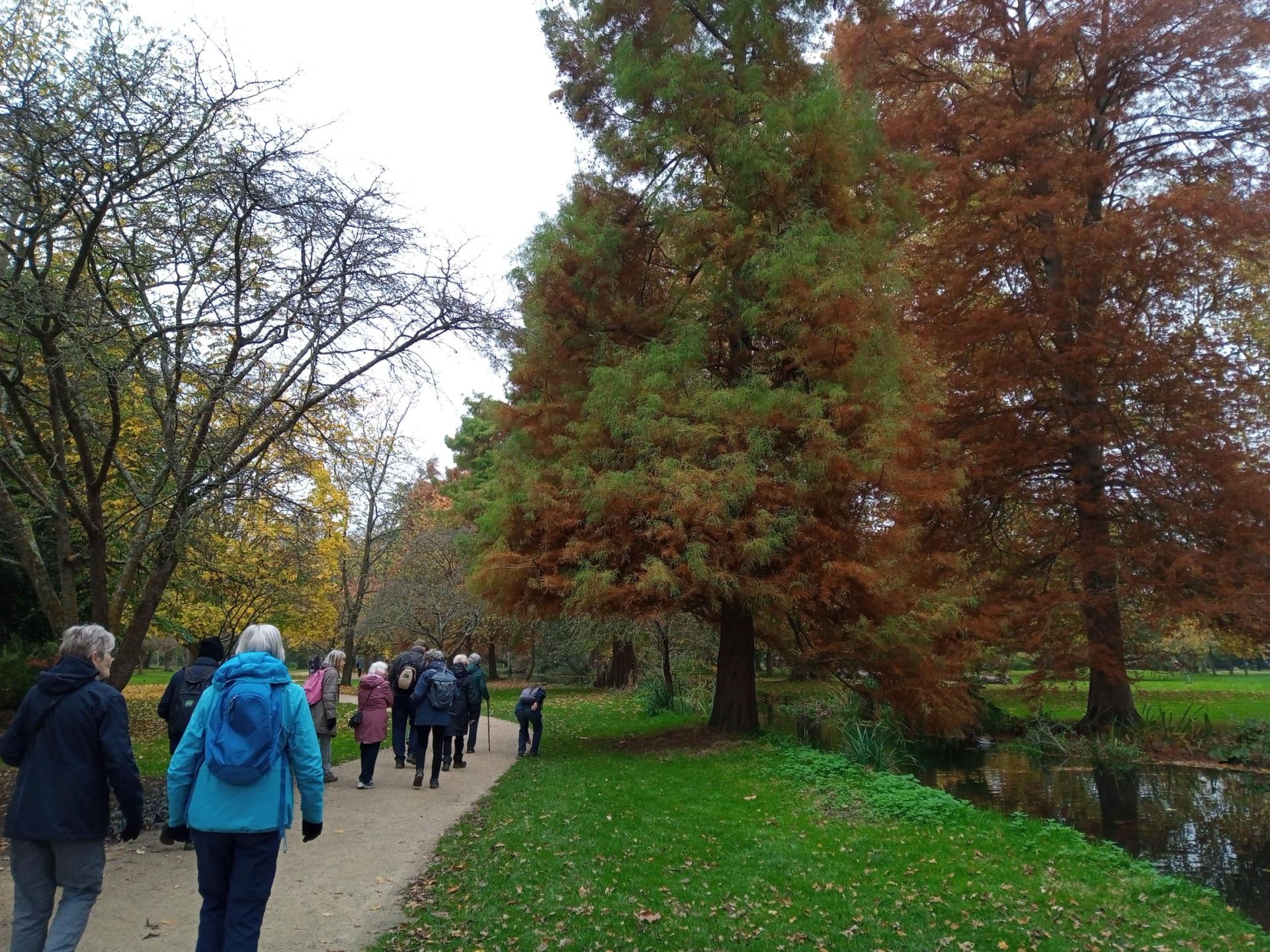 Walkers walking through the trees