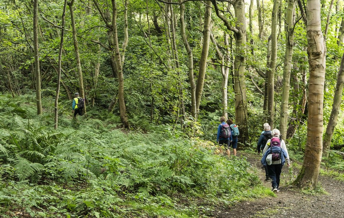 Walkers in Lumbo Den